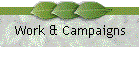 Work & Campaigns